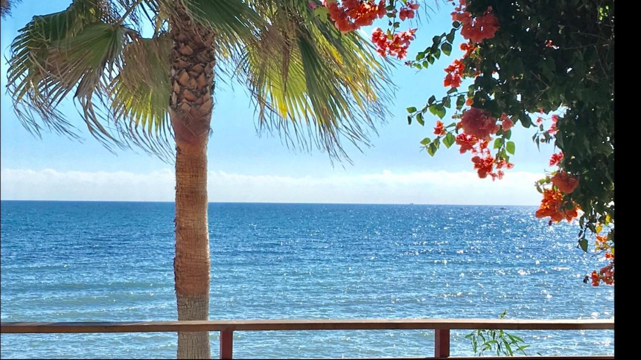 Mi Capricho Beachfront- 3-7 Apartment With Sea Views Sitio de Calahonda Buitenkant foto